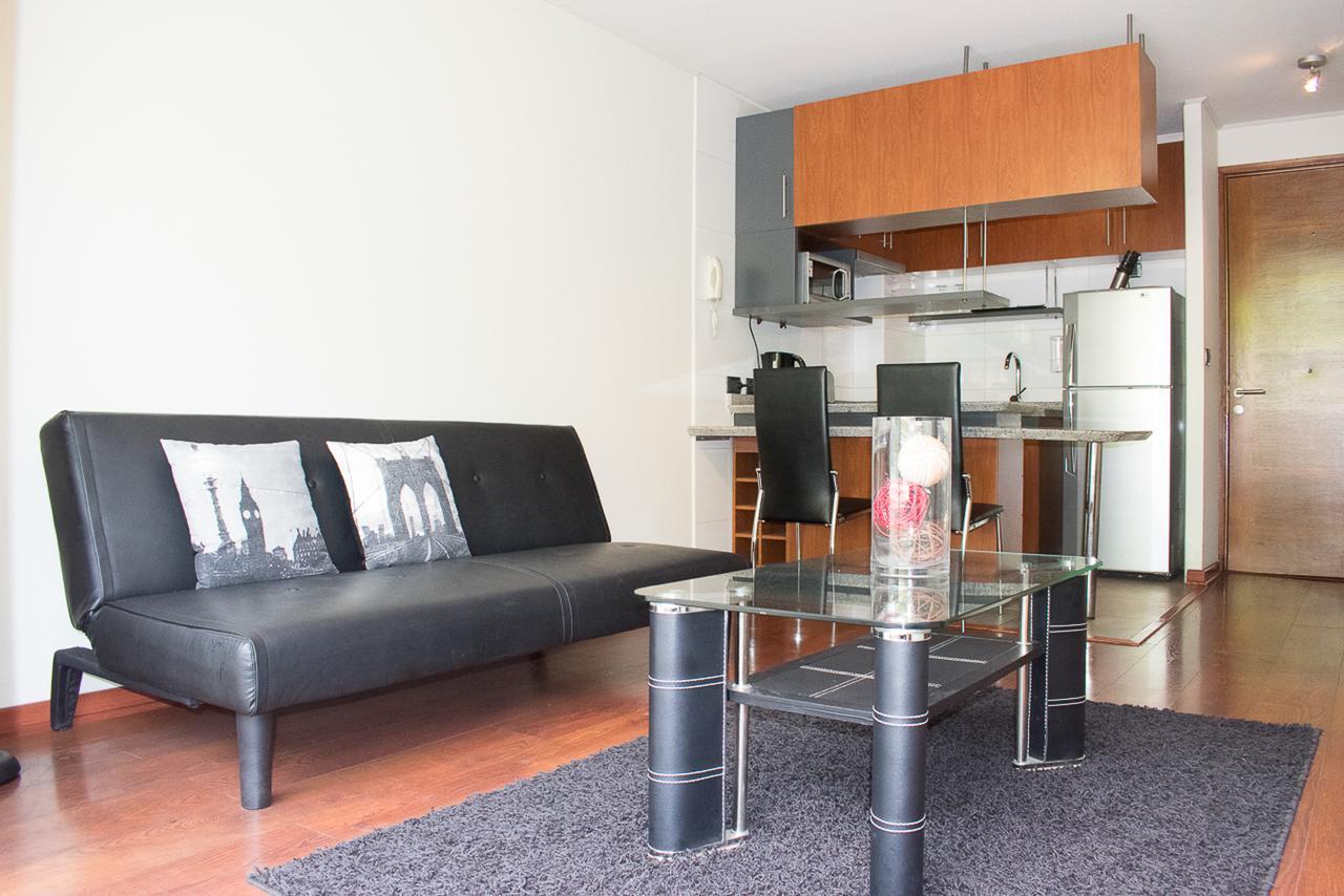Bellavista Spotlight Apartment Santiago Buitenkant foto